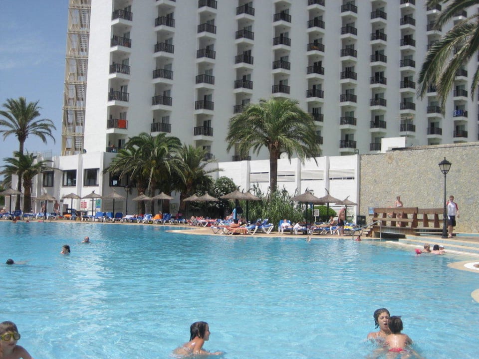 Life aufgenommen Sol Milanos Pinguinos by Melia