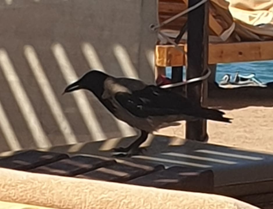 Sonstiges Steigenberger Aqua Magic