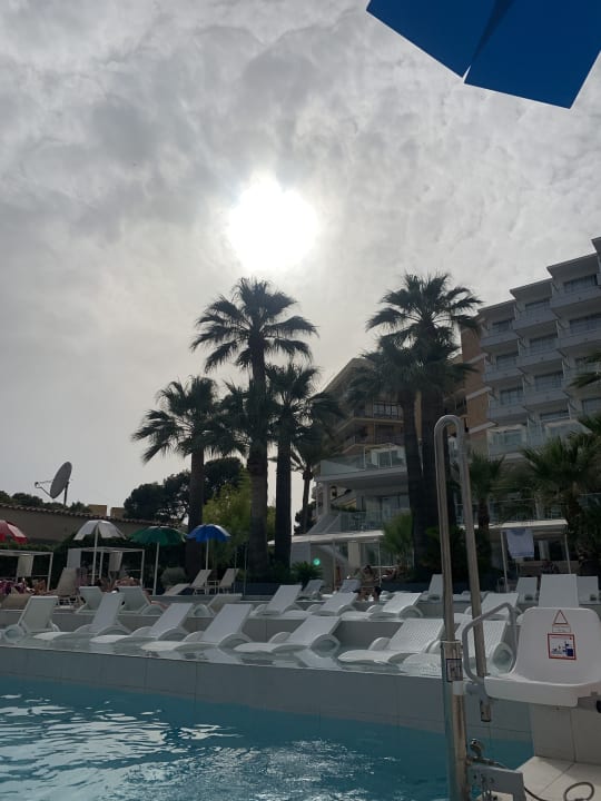 Pool Reverence Mare - Adults only