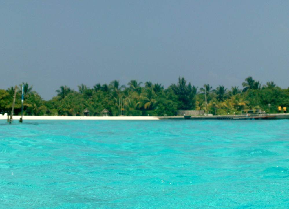 Blick auf die Insel vom Boot aus Summer Island Maldives