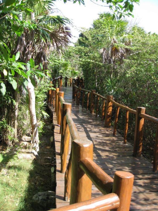 Holzsteg zur Lobby/Restaurants Grand Palladium Select White Sand Resort & Spa