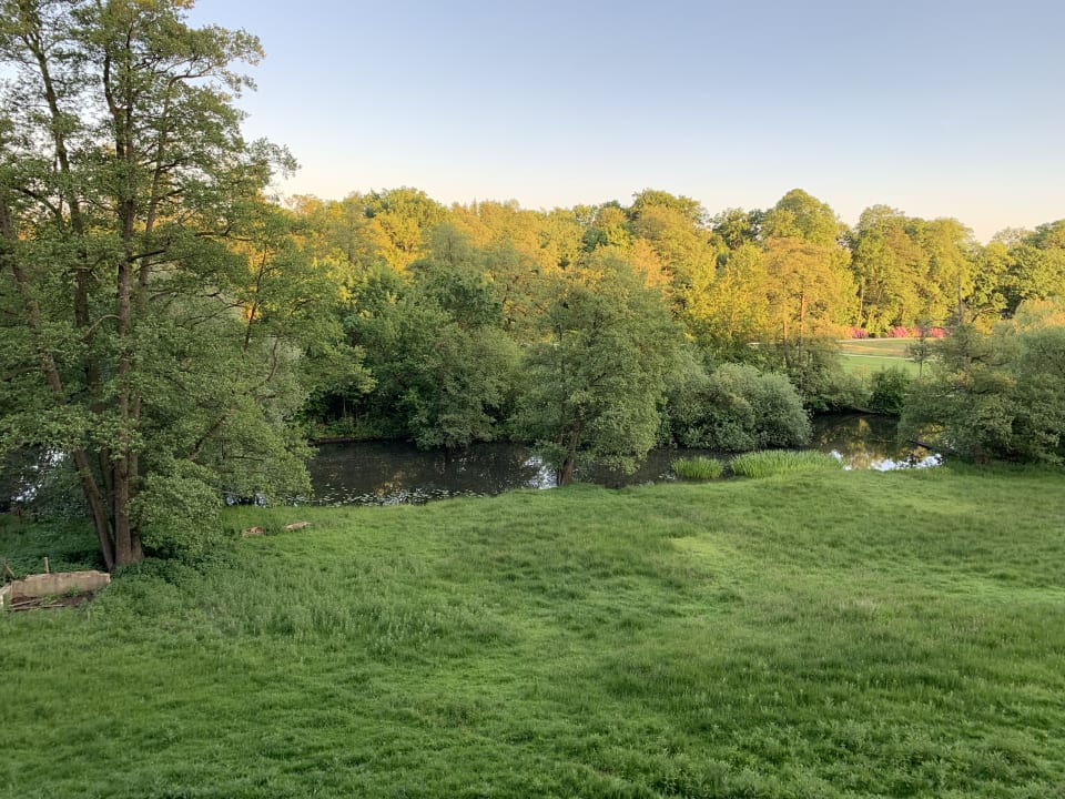 Ausblick Haus am Walde