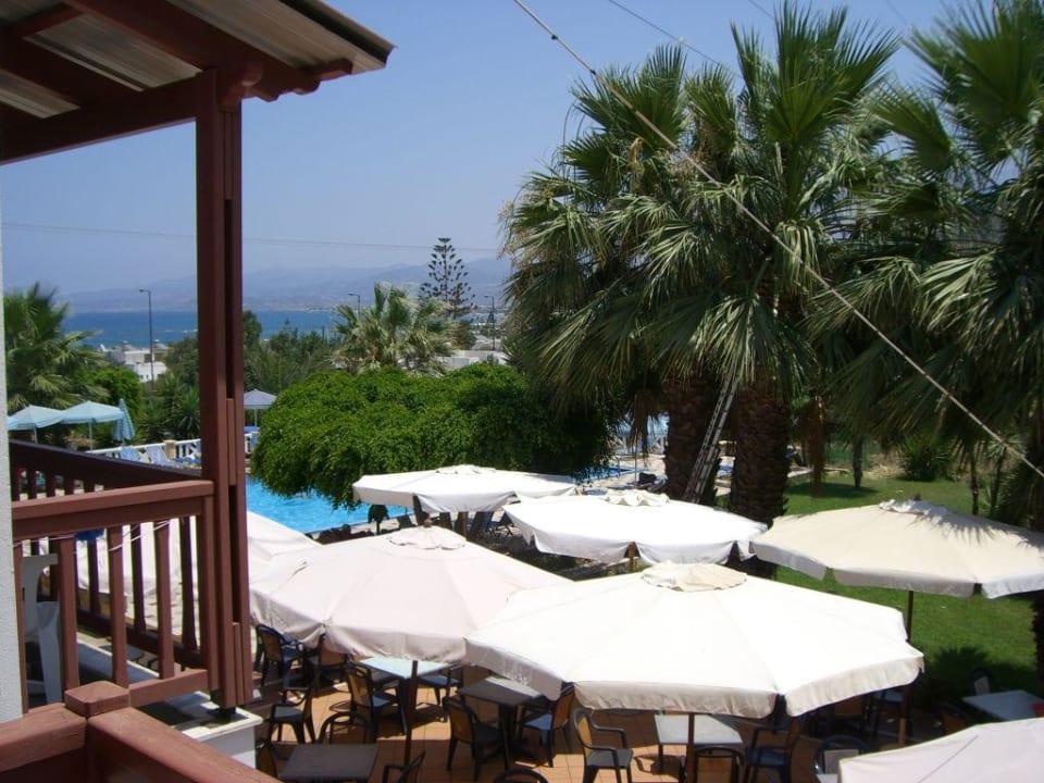 Ausblick aus dem Hotelzimmer Hotel Paloma Garden