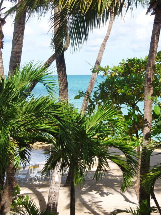 Blick vom Balkon Hotel Siboney Beach Club