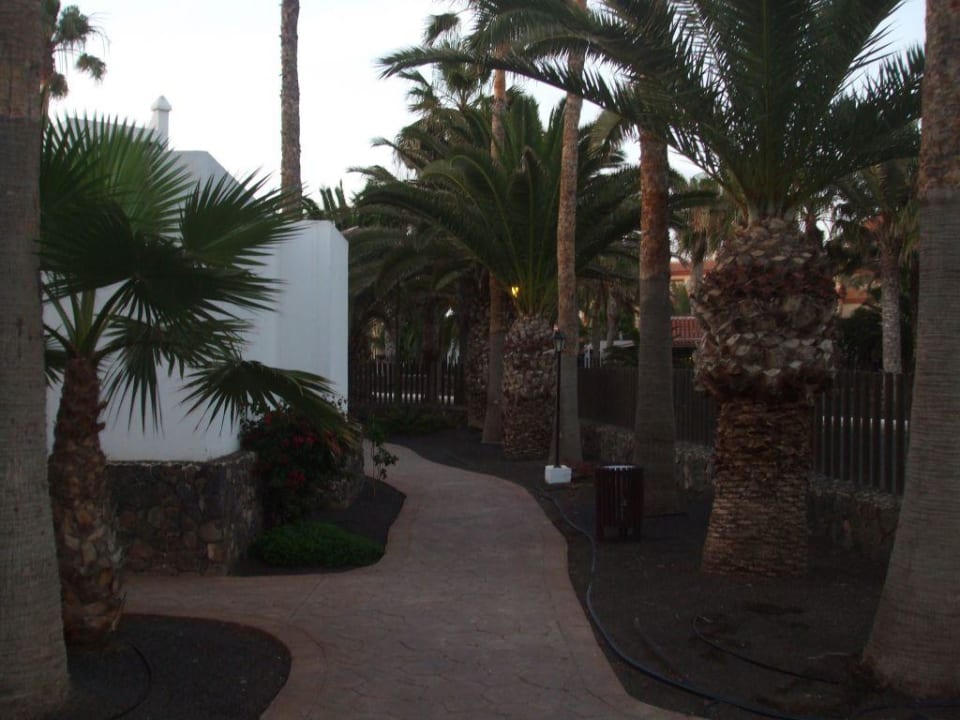 Weg zu den Bungalows Barceló Fuerteventura Castillo