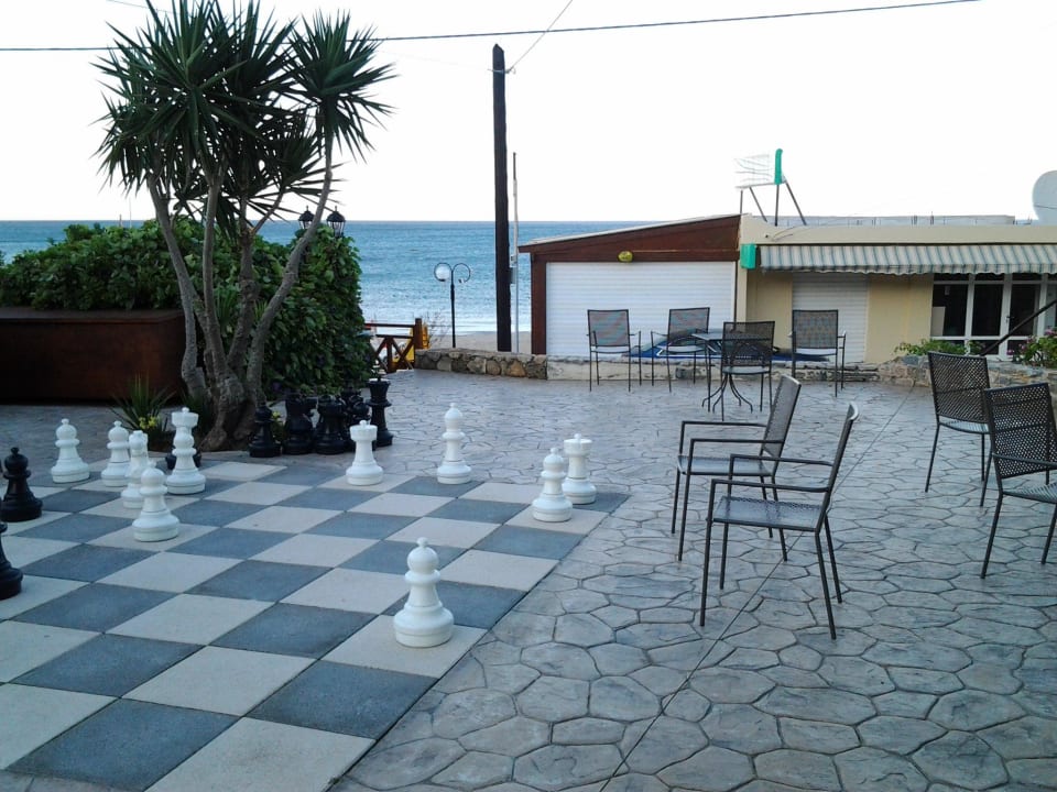 Schach Cactus Beach