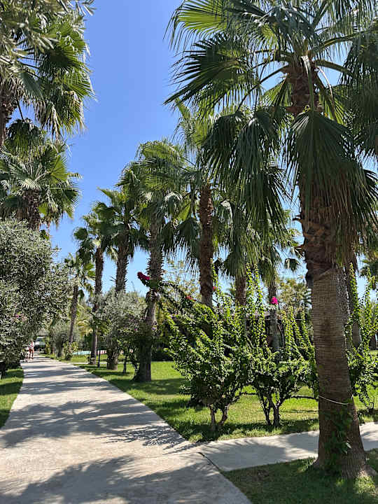 Gartenanlage Seaden Sea Planet Resort & Spa