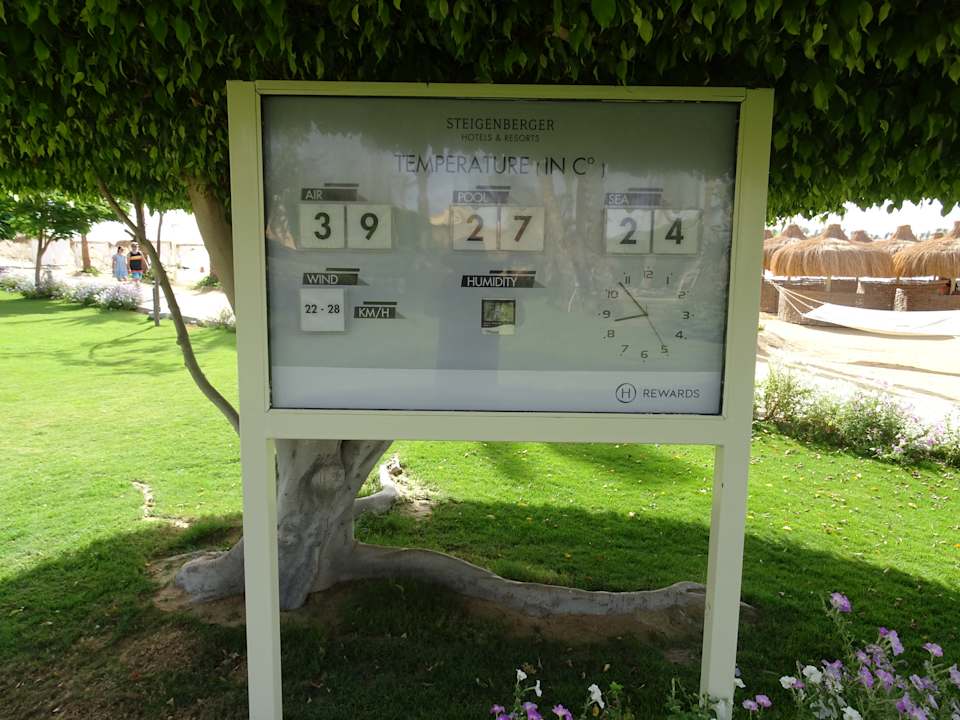 Pool Steigenberger Coraya Beach - Adults only