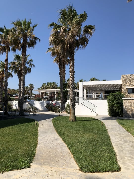 Gartenanlage Cosmopolitan Kos