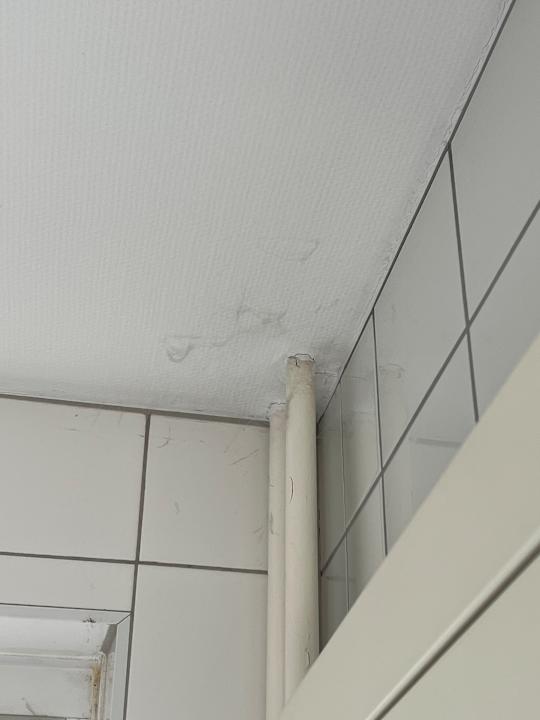 Zimmer Bernstein Villa Kastania