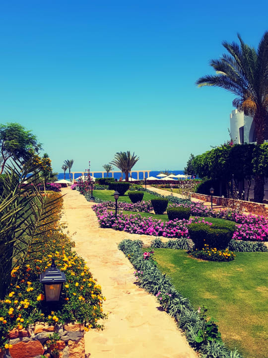 Gartenanlage Three Corners Equinox Beach Resort