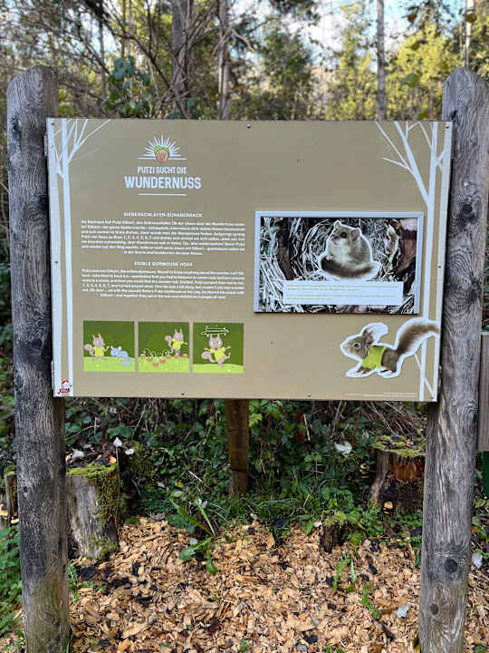 Sport & Freizeit Hotel Kohlerhof