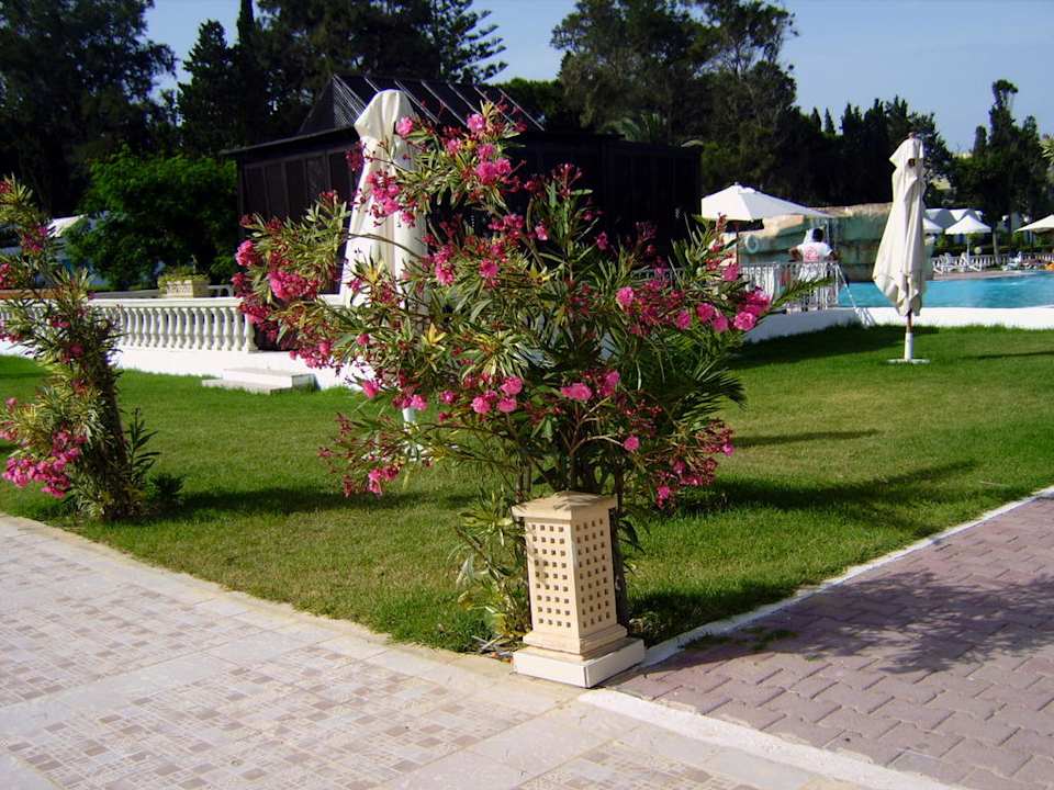 Weg zum 2. Pool The Club Hammamet