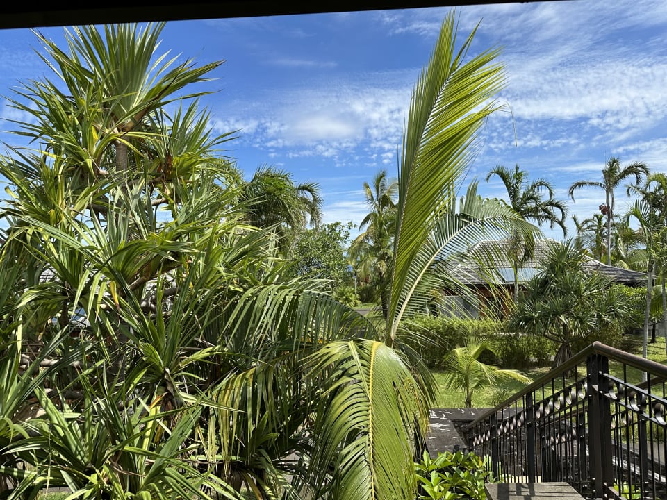 Gartenanlage Palm Hotel & Spa