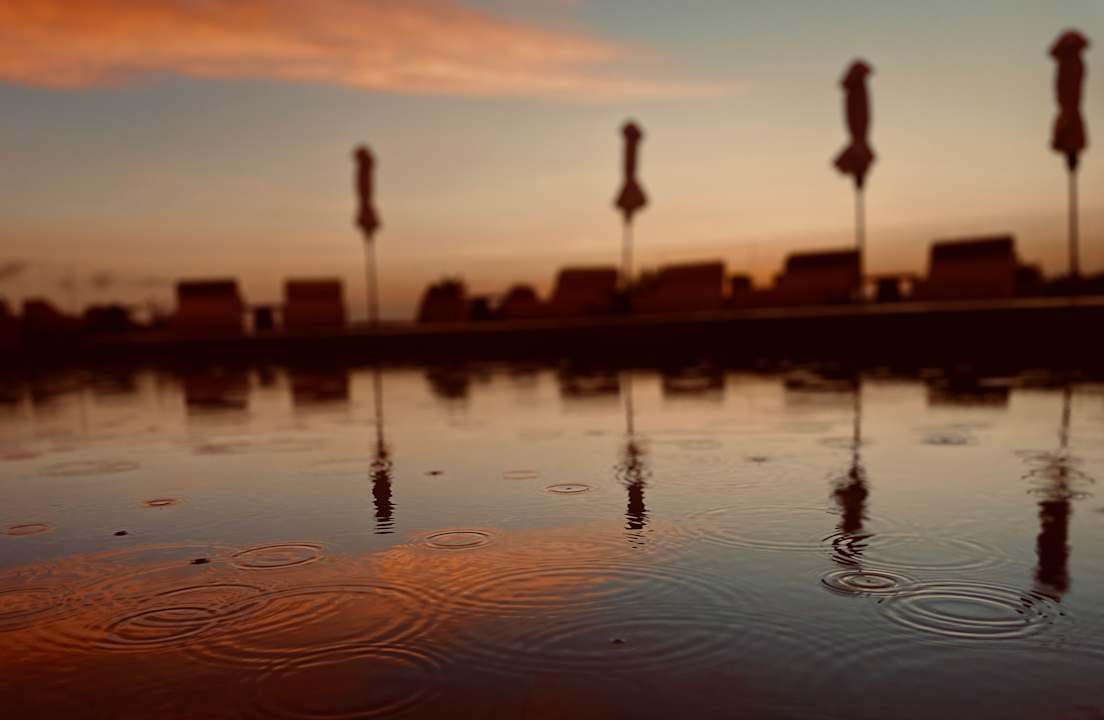 Gartenanlage King Jason Zante – Designed for Adults