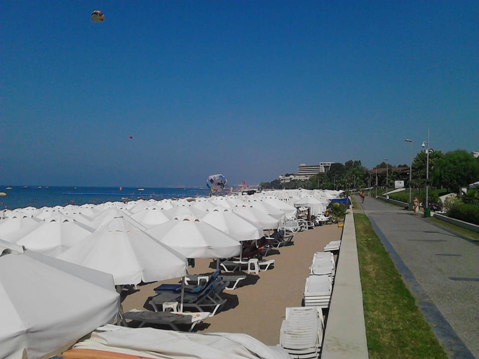 Immer ausreichend Sonnenschirme und Liegen Hotel Sirma