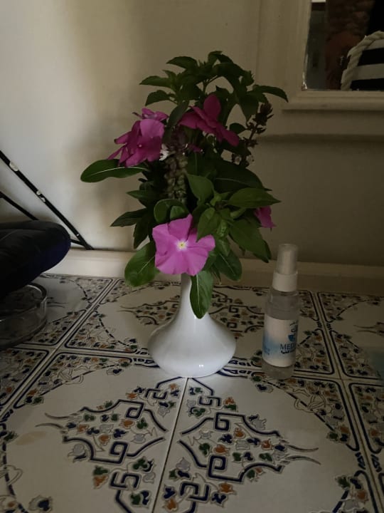 Sonstiges Lotus Bay Beach Resort