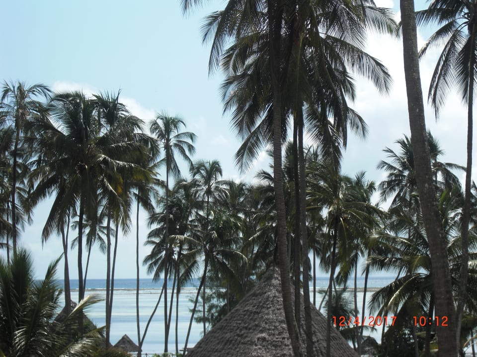 Strand Ocean Paradise Resort & Spa