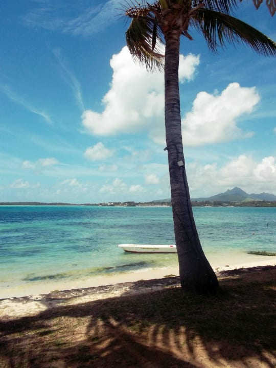 Ausblick beim Frühstück Tropical Attitude - Adults only