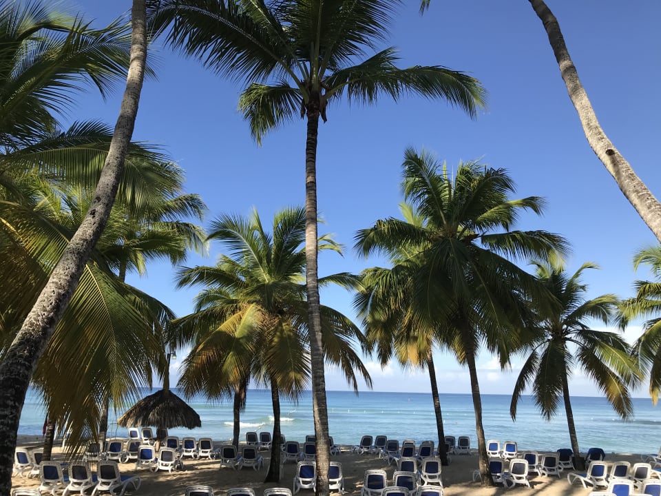 Strand Hotel Viva Dominicus Beach by Wyndham - All Inclusive Resort