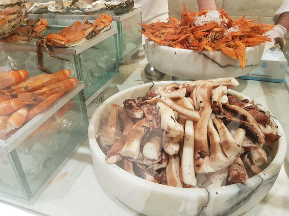 Gastro Acanthus Cennet Barut Collection