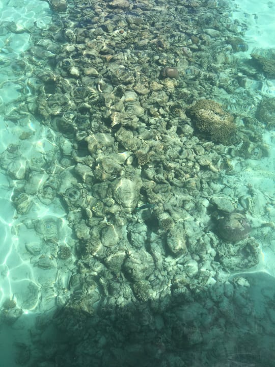 Sonstiges Meeru Maldives Resort Island