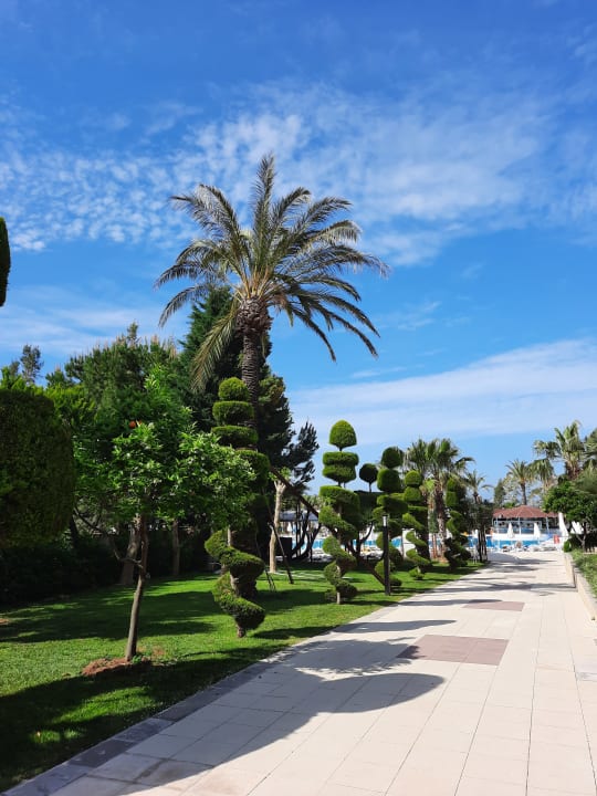 Gartenanlage TUI KIDS CLUB Felicia Village