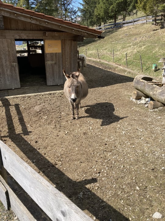 Gartenanlage Oberjoch - Familux Resort