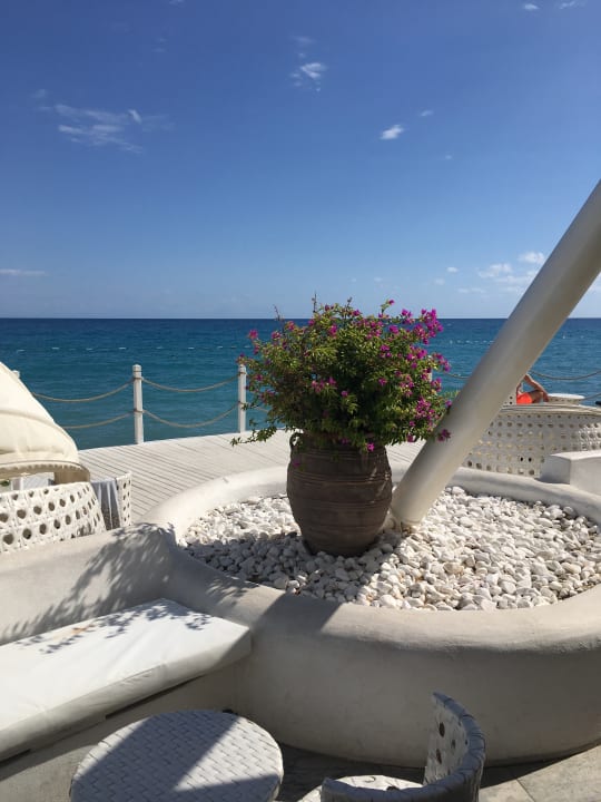 Strand Balmy Foresta