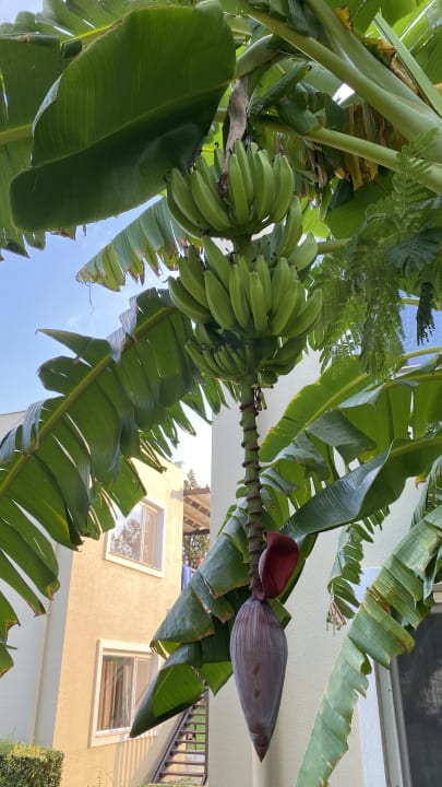 Sonstiges Marvida Family Eco