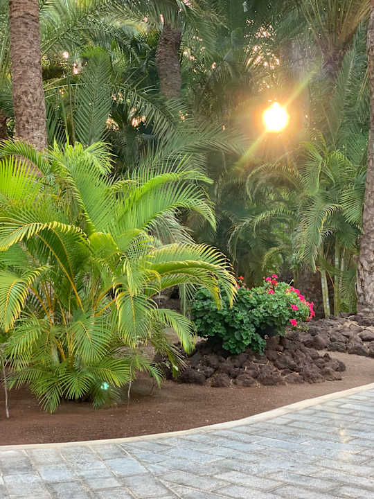 Außenansicht Hotel Riu Palace Oasis