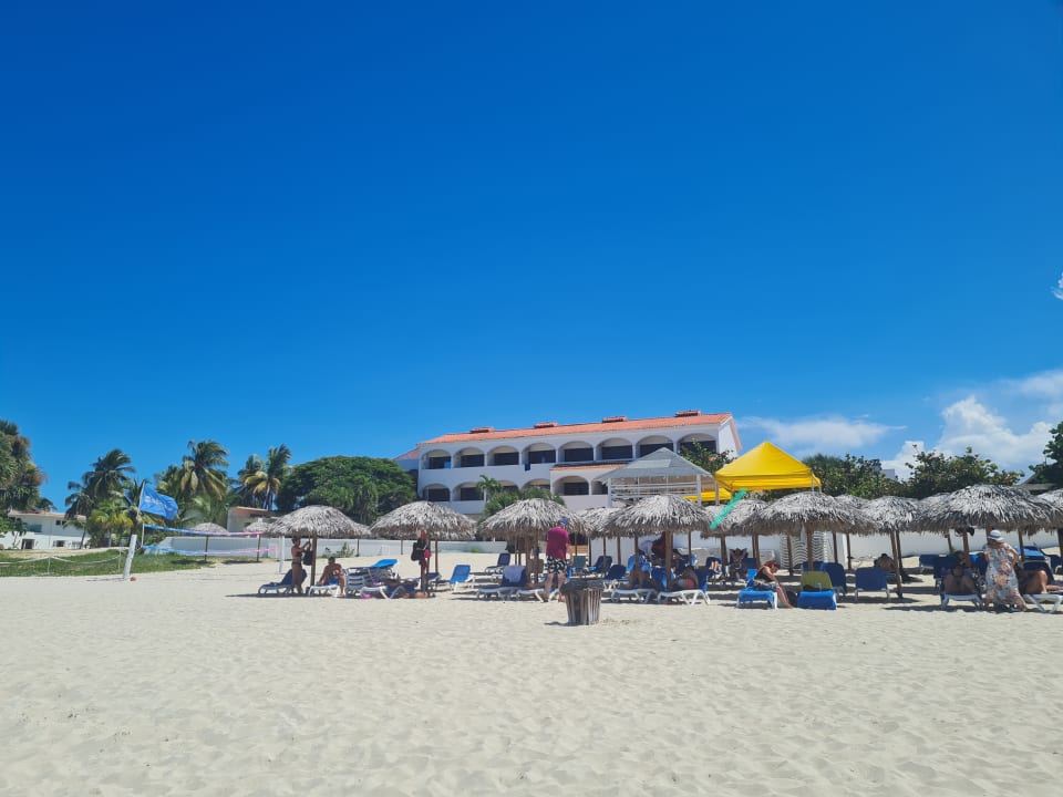 Strand Starfish Cuatro Palmas