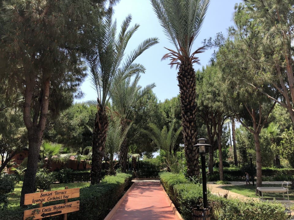 Gartenanlage Club Turtas Beach Hotel