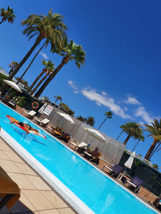 Pool Artemisa Gay Bungalows