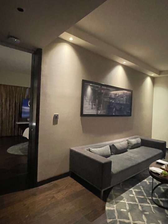 Zimmer Pullman New Delhi Aerocity