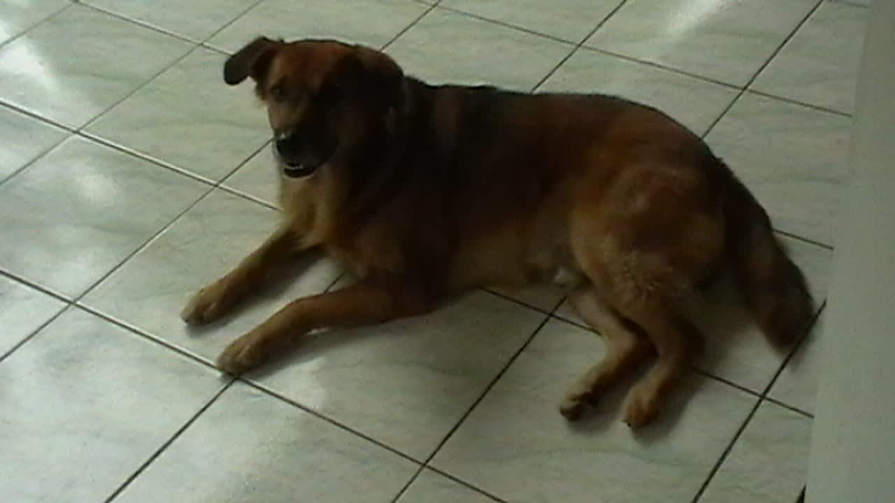 Sonstiges Sunshine Guesthouse