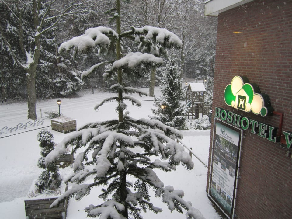 Uitzicht Boshotel Vlodrop