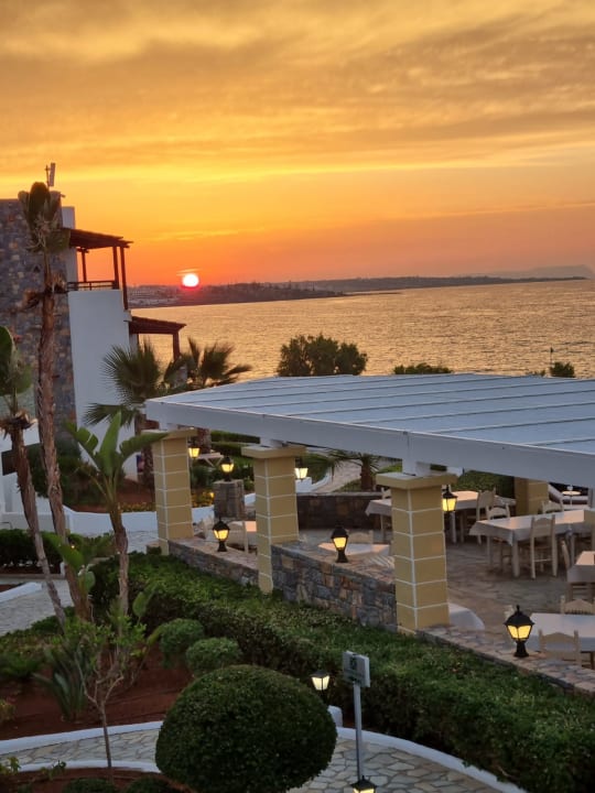 Gastro Alexander Beach Hotel & Village Resort