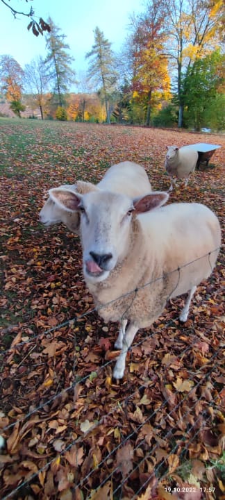 Ausblick Berghotel Hoher Knochen