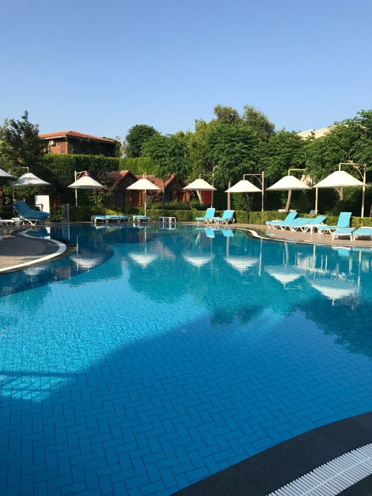 Pool Can Garden Beach