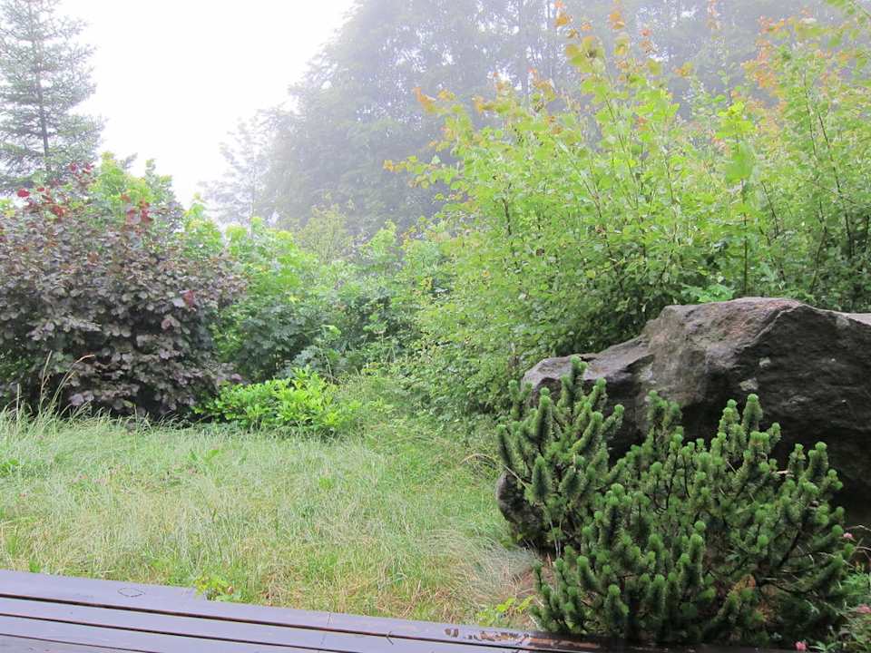 Blick von Veranda Montara Suites Bodenmais