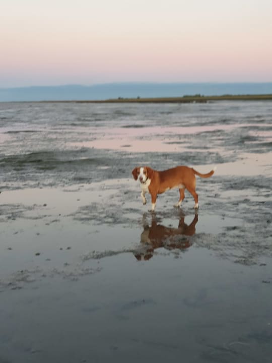 Strand Ferienhof Gertz