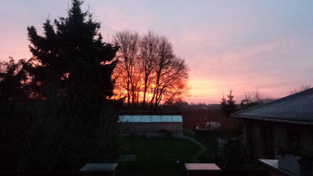Ausblick Ferienwohnung im Grünen - Lankower See in Schwerin