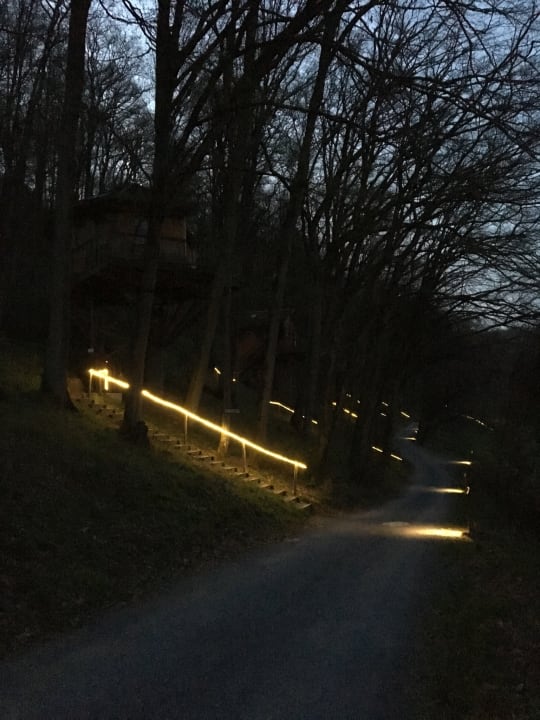 Ausblick Baumhaushotel Seemühle