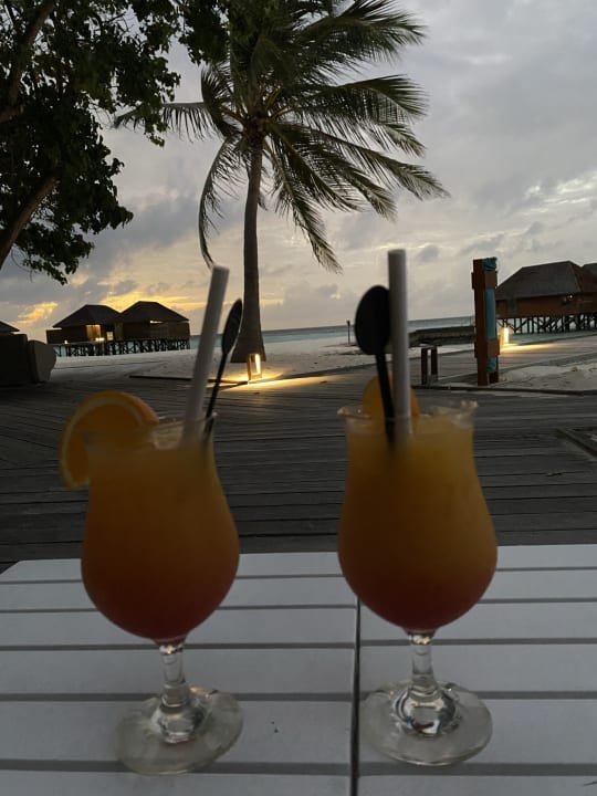 Gastro Veligandu Maldives Resort Island