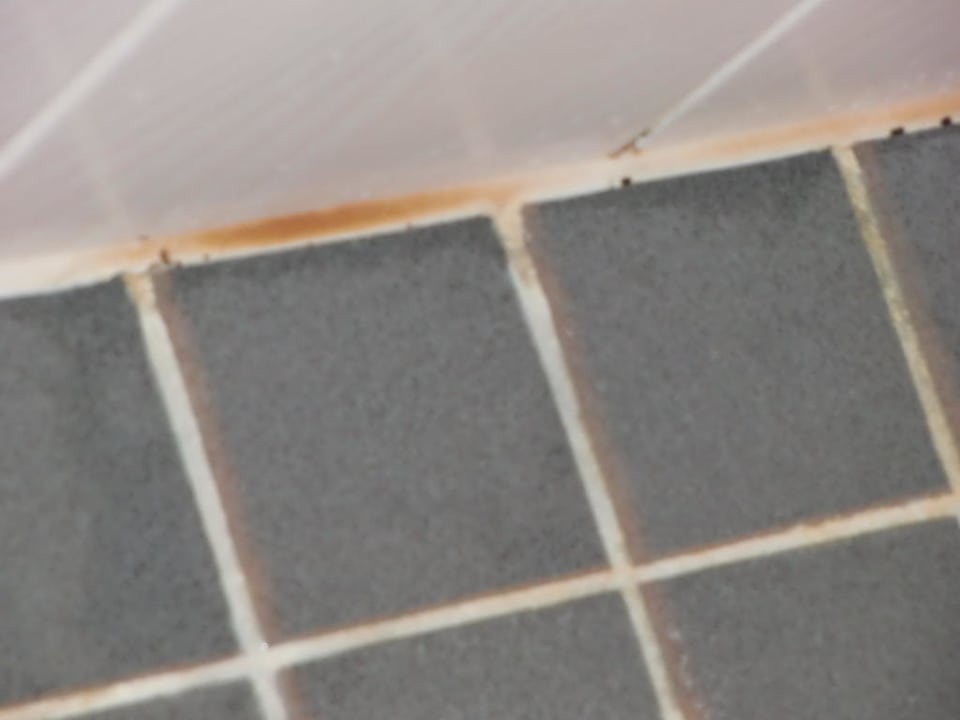 Badezimmerzustand Altes Landhaus Lanvers