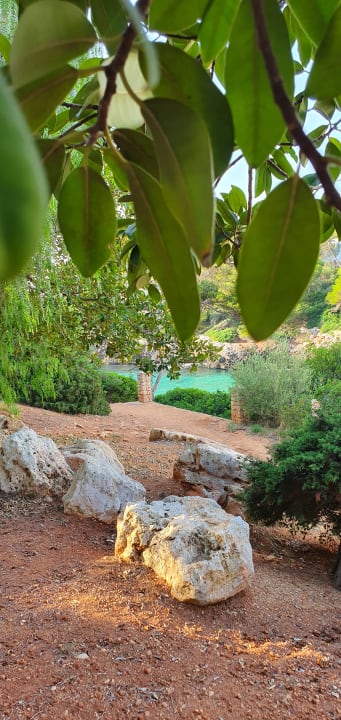Ausblick Calimera Fido Gardens