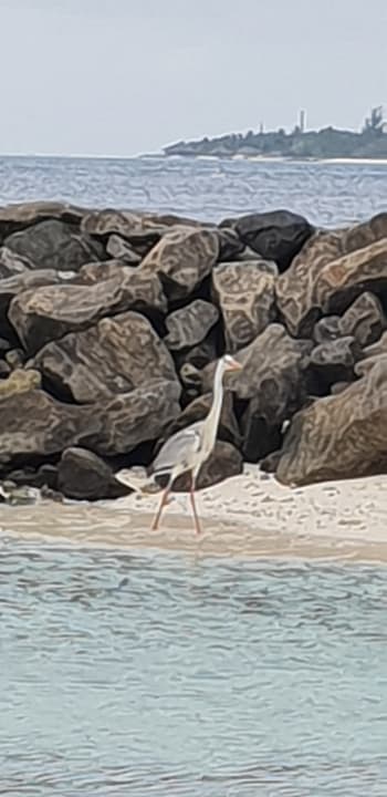 Strand Embudu Village