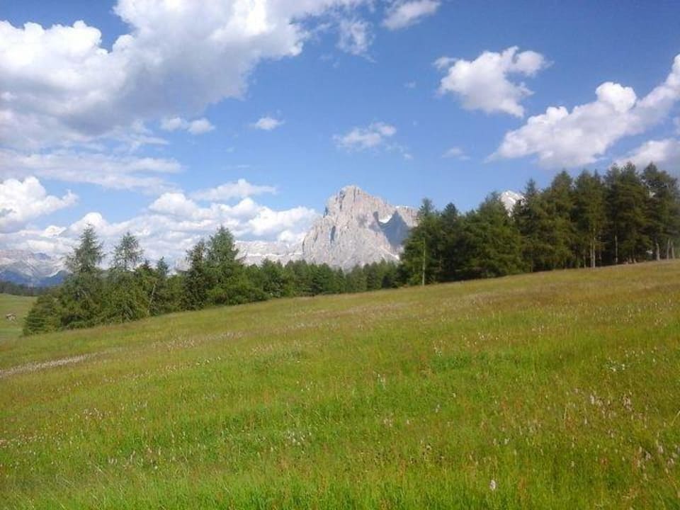 Blick zum berg Hotel Ritsch Seiser Alm