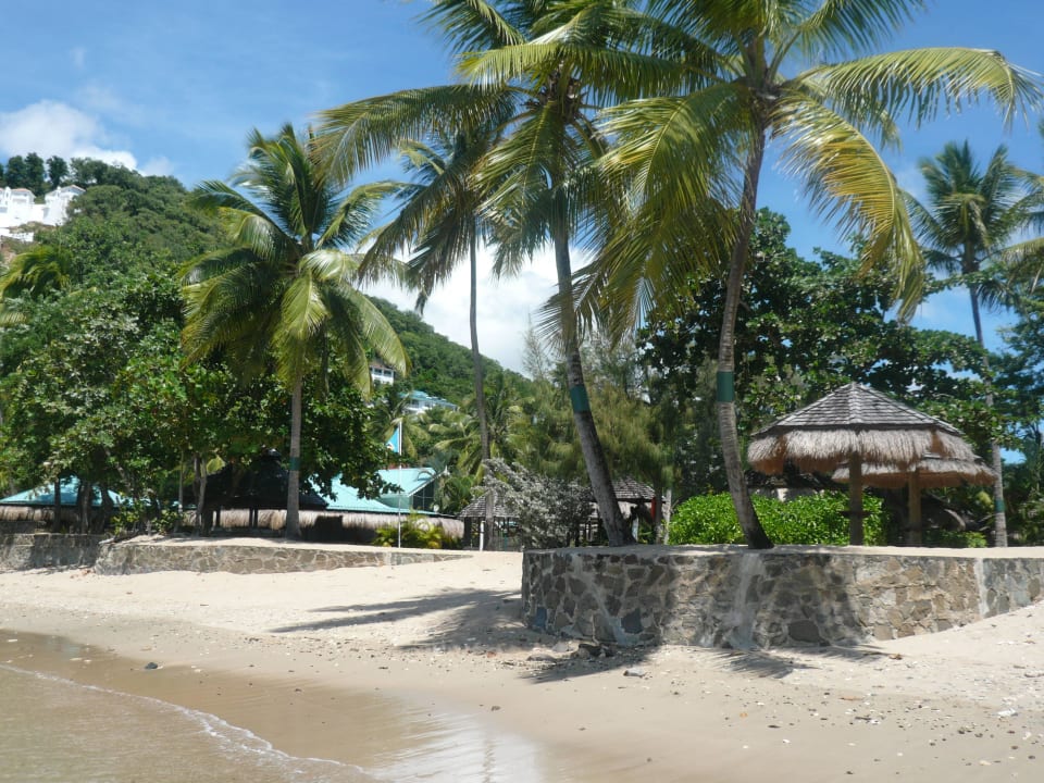 Sandiger Labrelotte Strand ca. 300m entfernt Hotel Espoir